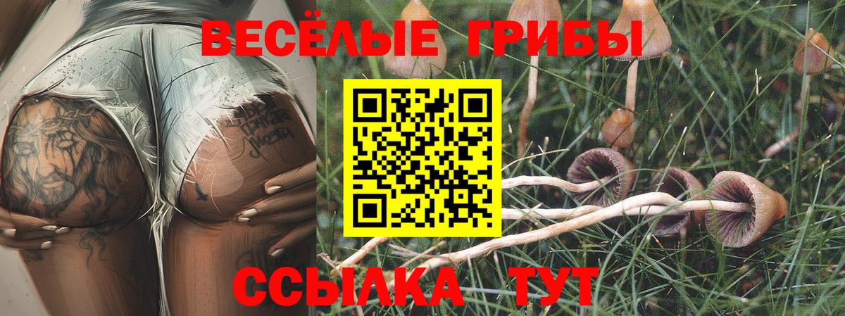 Псилоцибиновые грибы мицелий  Вход с VPN  Галлюциногенные грибы Magic Shrooms  Славгород 