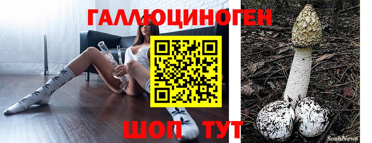 Галлюциногенные грибы GOLDEN TEACHER Славгород