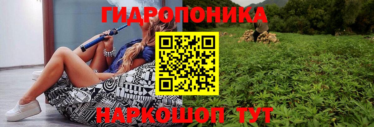 МАРИХУАНА сатива Славгород